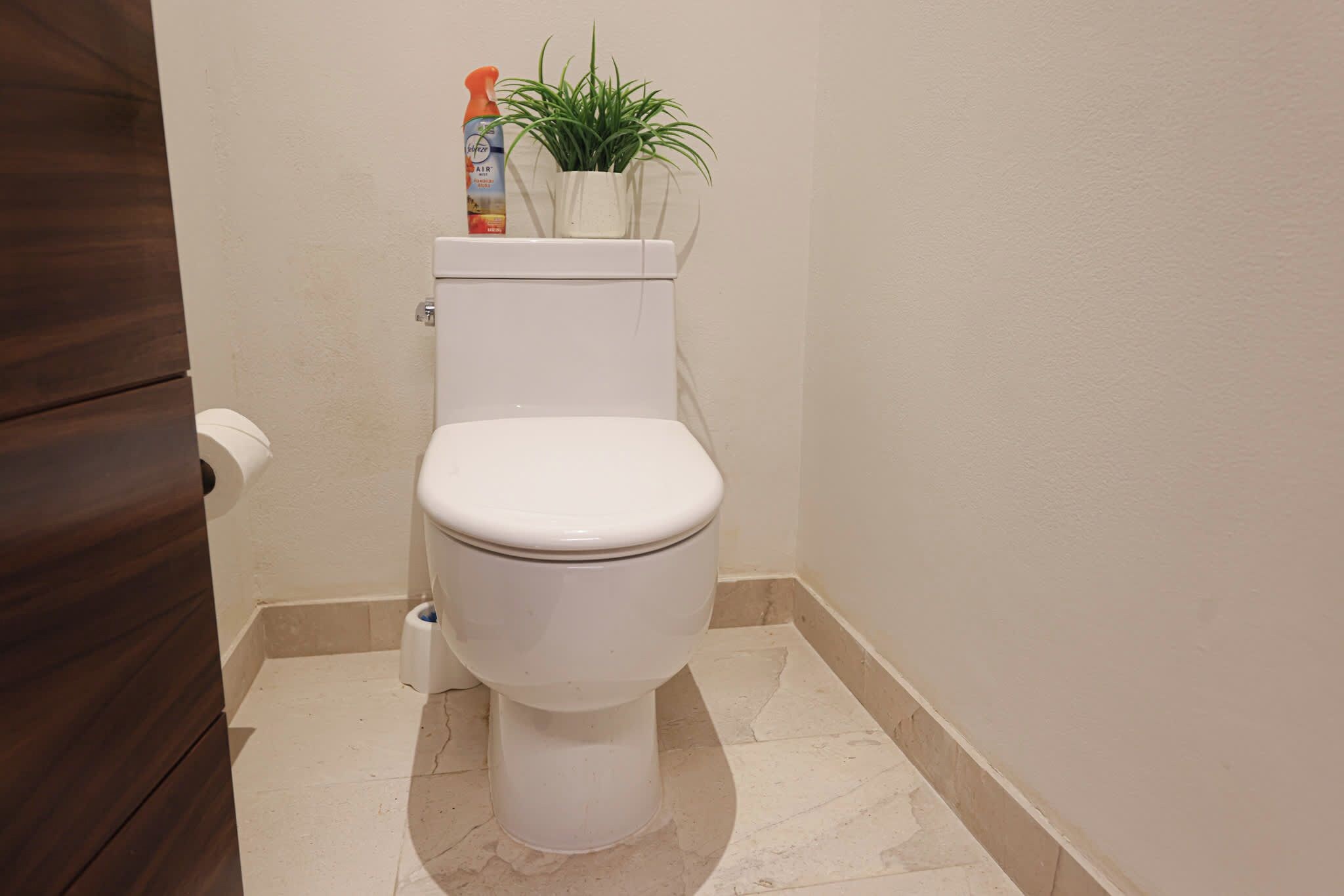 A toilet with a white lid, a toilet paper holder, and a plant on top.