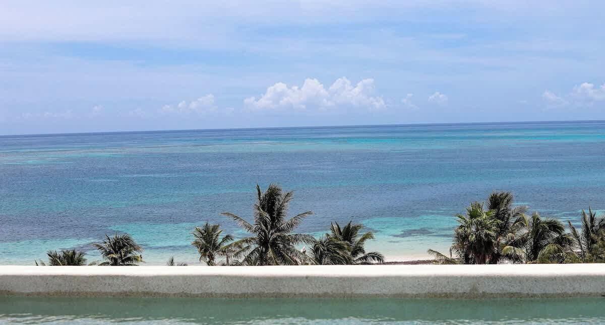 Vista de una playa con agua turquesa cristalina y palmeras.