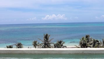 Vista de una playa con agua turquesa cristalina y palmeras.