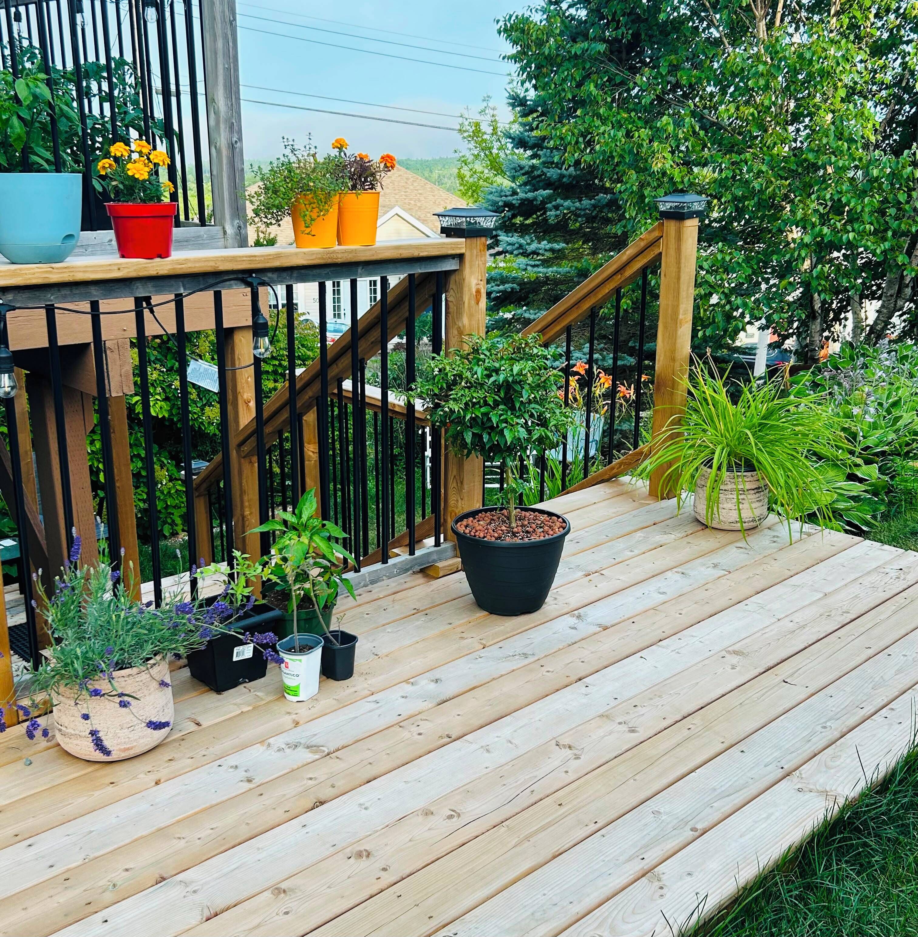Une terrasse en bois agrémentée de plantes en pot et dotée d’une rambarde.