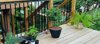 Comfortable Suite in Halifax | Private entry & bath