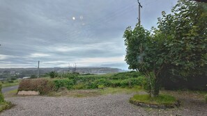 Ländliche Landschaft mit einem Schotterweg, einer Hecke und einem Baum.