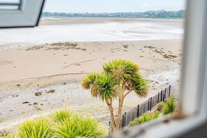 Een strand met een palmboom en een hek op de voorgrond.