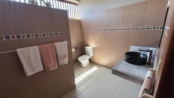 Een badkamer met toilet, douche en wastafel.