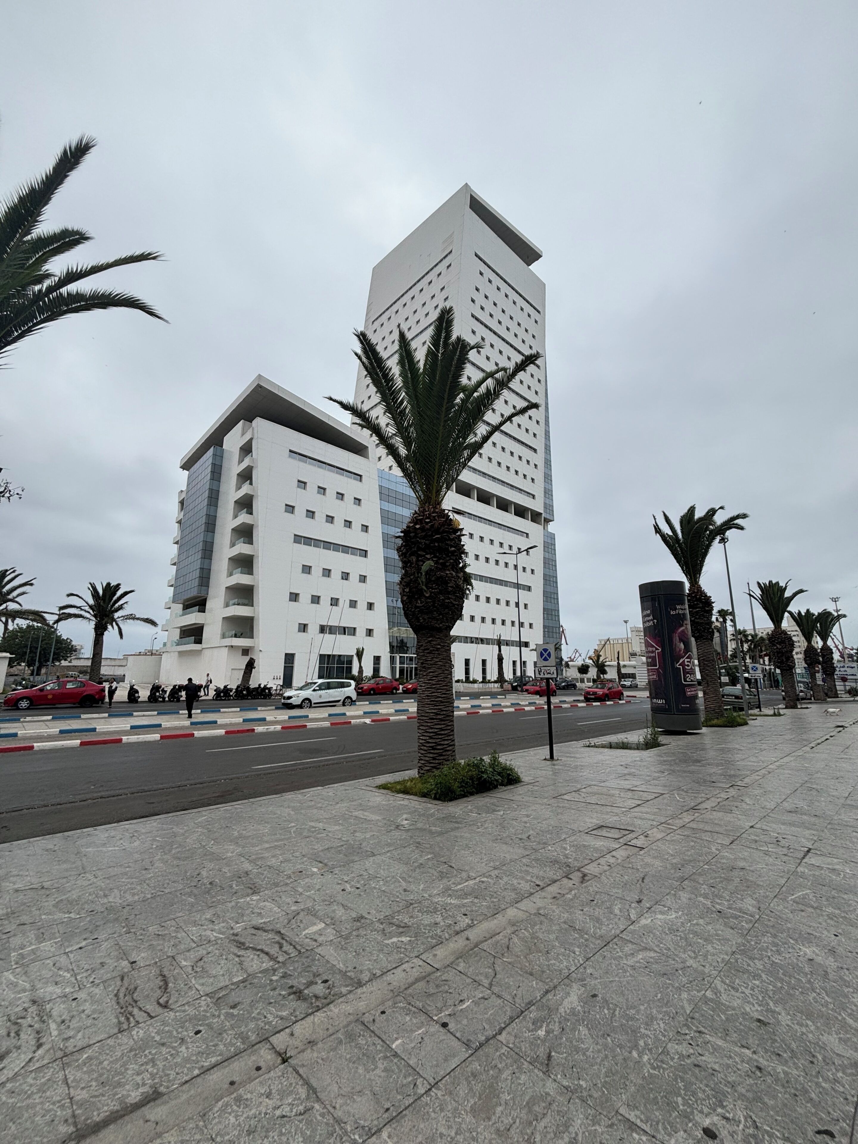 A modern building with a flat roof and a large palm tree in front.