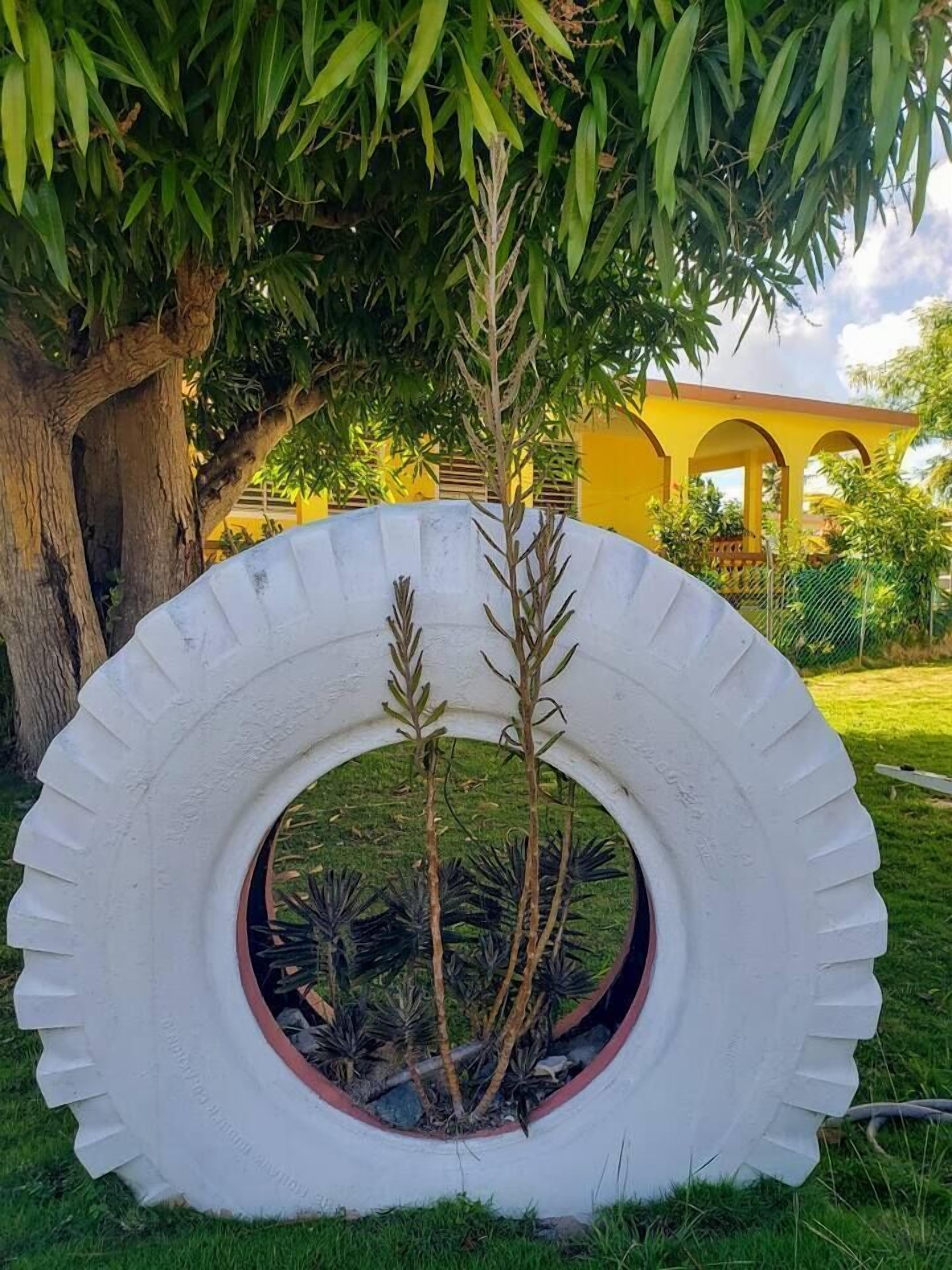 Una jardinera con neumáticos, plantas, un árbol y un edificio amarillo al fondo.