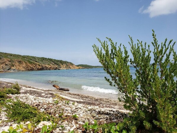 A coastal landscape with a rocky beach, clear blue water, and green vegetation.