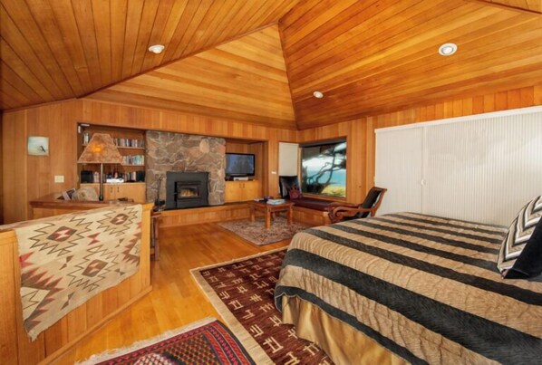 Une pièce confortable avec une cheminée, un lit, une télévision et une bibliothèque.