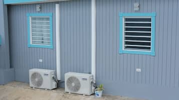 A building with two air conditioning units, a potted plant, and two windows with blue trim.