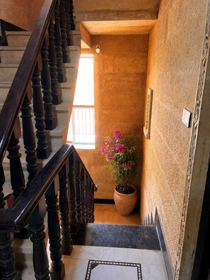 Una escalera de madera con barandilla que lleva a un rellano con una planta en maceta.