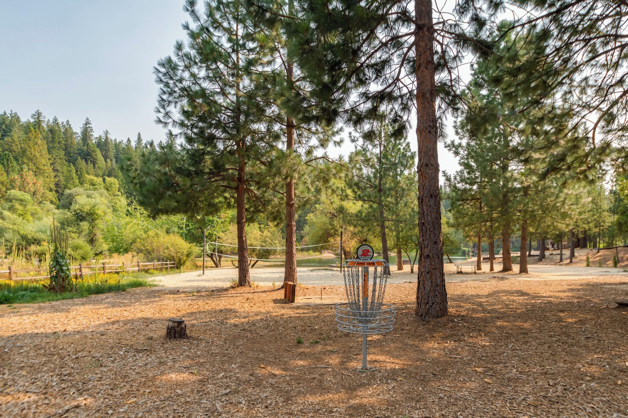 A disc golf course with trees and a clear sky.