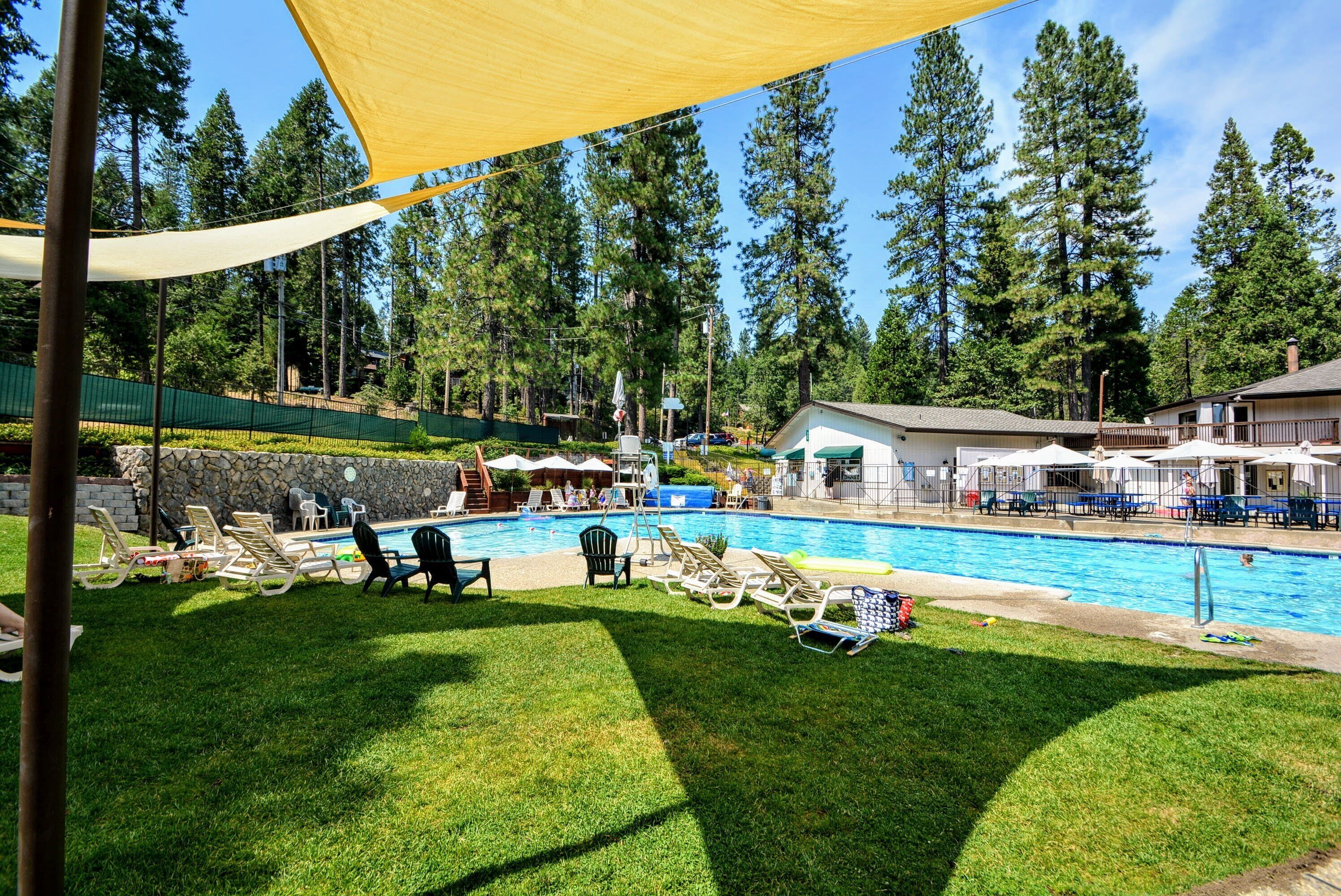 A swimming pool with lounge chairs and umbrellas, surrounded by trees and a stone wall.