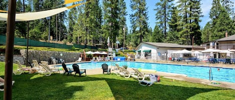 A swimming pool with lounge chairs and umbrellas, surrounded by trees and a stone wall.