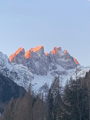 Ein Gebirgszug mit schneebedeckten Gipfeln und einem bewaldeten Vordergrund.