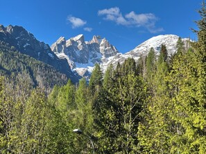 Eine Berglandschaft mit dichtem Wald im Vordergrund und schneebedeckten Gipfeln im Hintergrund.