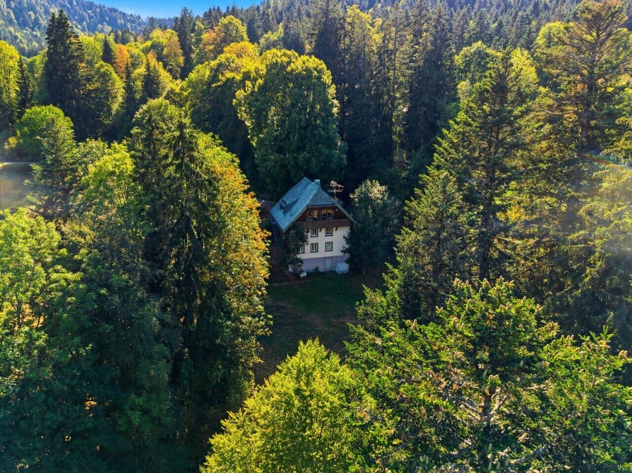 Una casa rodeada de un bosque frondoso, con vistas despejadas de los árboles y el paisaje circundante.