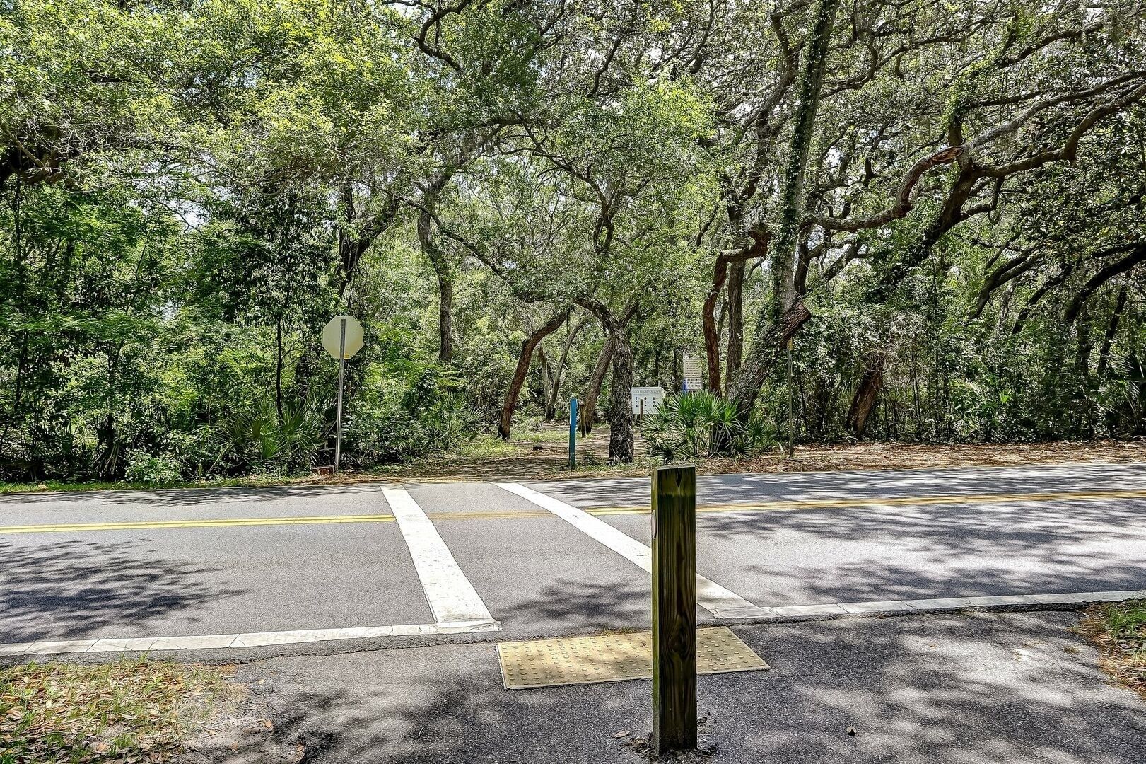 Eine Straße mit Zebrastreifen, umgeben von dichtem Baumbestand und Grün.