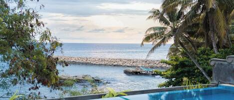An infinity pool with a view of the sea and palm trees.