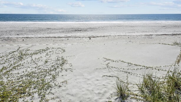 Aan het strand
