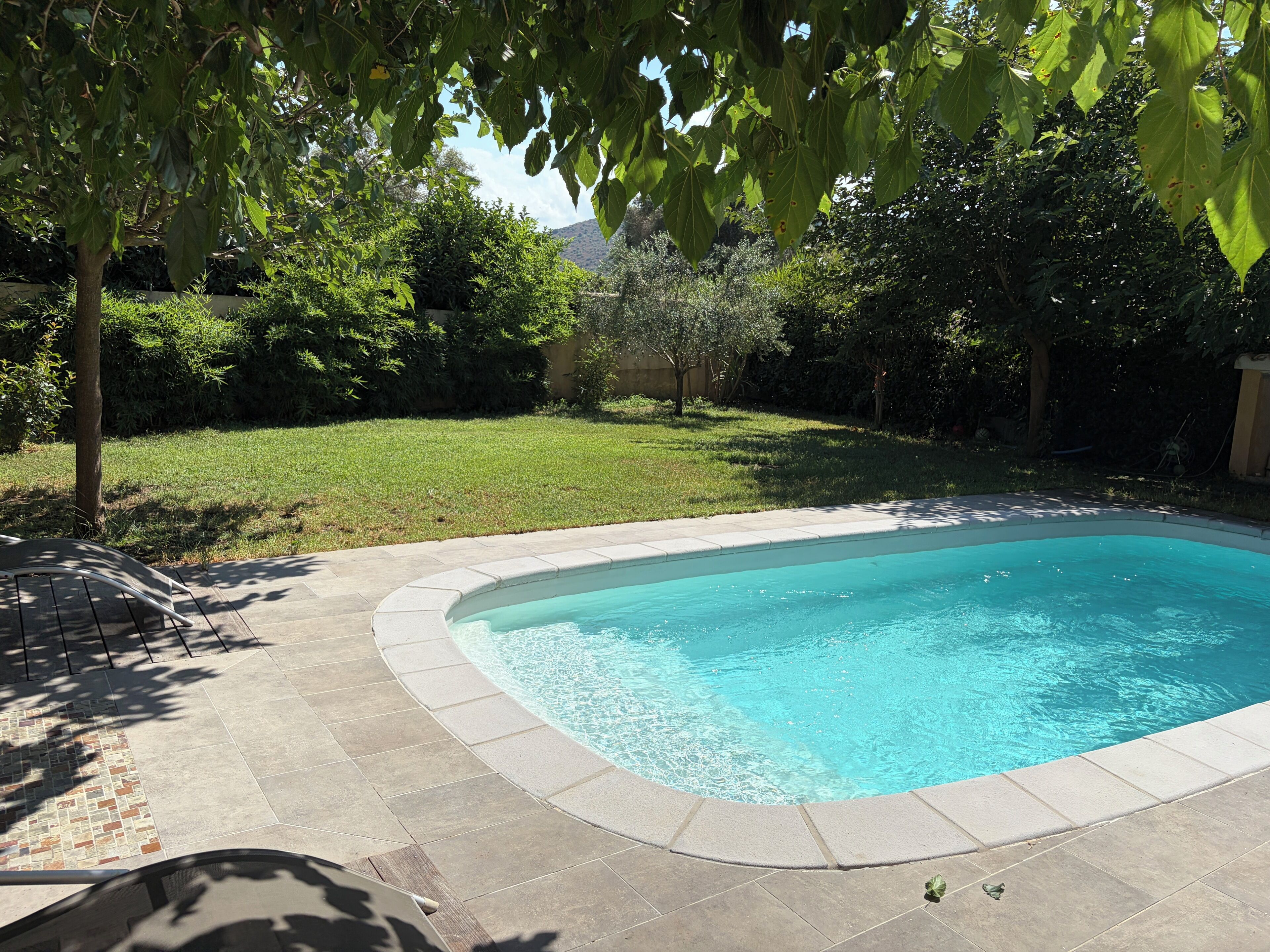 Una piscina con borde curvo, rodeada por un suelo pavimentado y un césped.