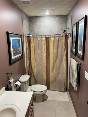 Bathroom - Entire suite in Asbury Home with private entrance. (Dubuque)