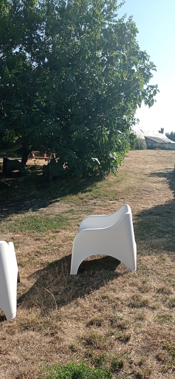 A grassy field with a large tree and a white plastic chair.
