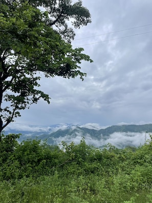 Miscellaneous - The Ameya mountain view bamboo cottages (Kanda Khal)
