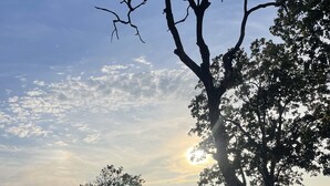 A landscape with a large tree, a clear sky, and a distant view of a hilly area. - The Ameya mountain view bamboo cottages (Kanda Khal)