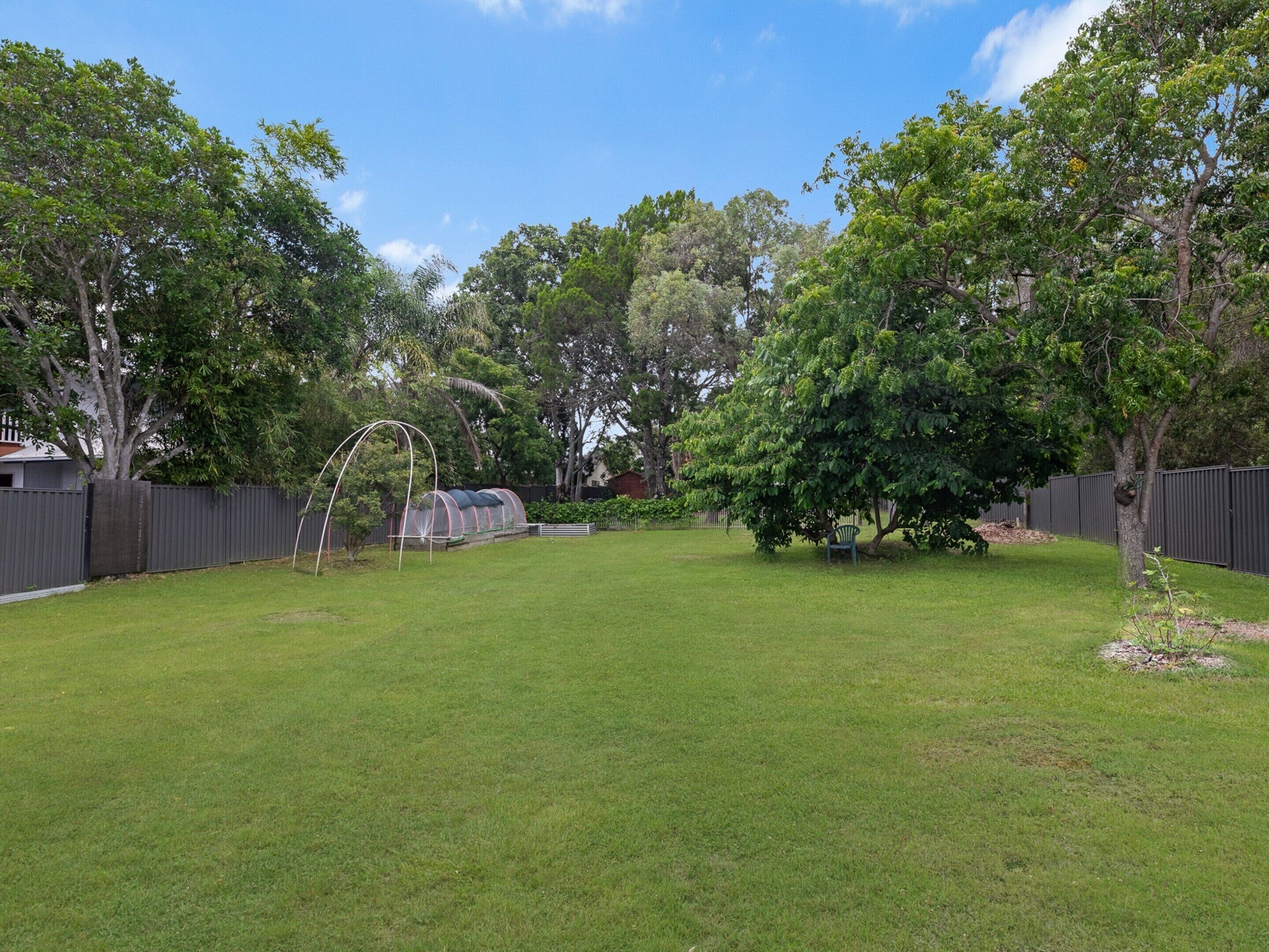 A backyard with a grassy lawn, a wooden fence, and a tree.