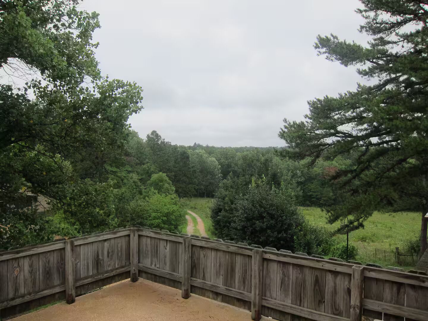 Una terraza de madera con vista a un área boscosa y un sendero de tierra.