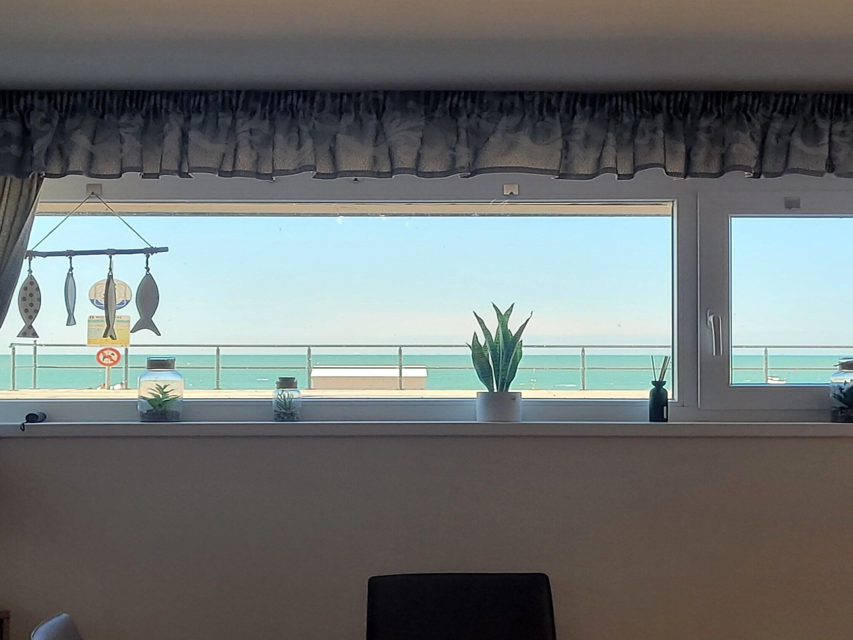 A room with a large window overlooking a beach, a plant on the windowsill, and a hanging fish decoration.