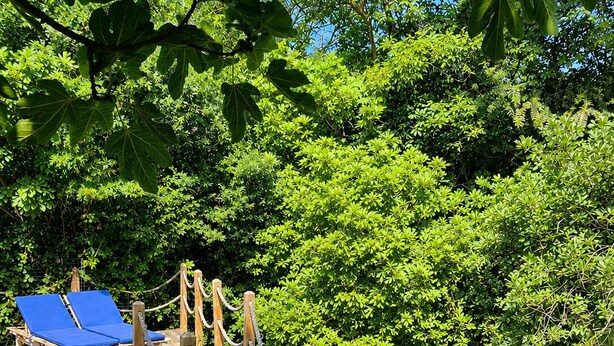 A wooden deck with a rope barrier leading to a water body, surrounded by dense green foliage.