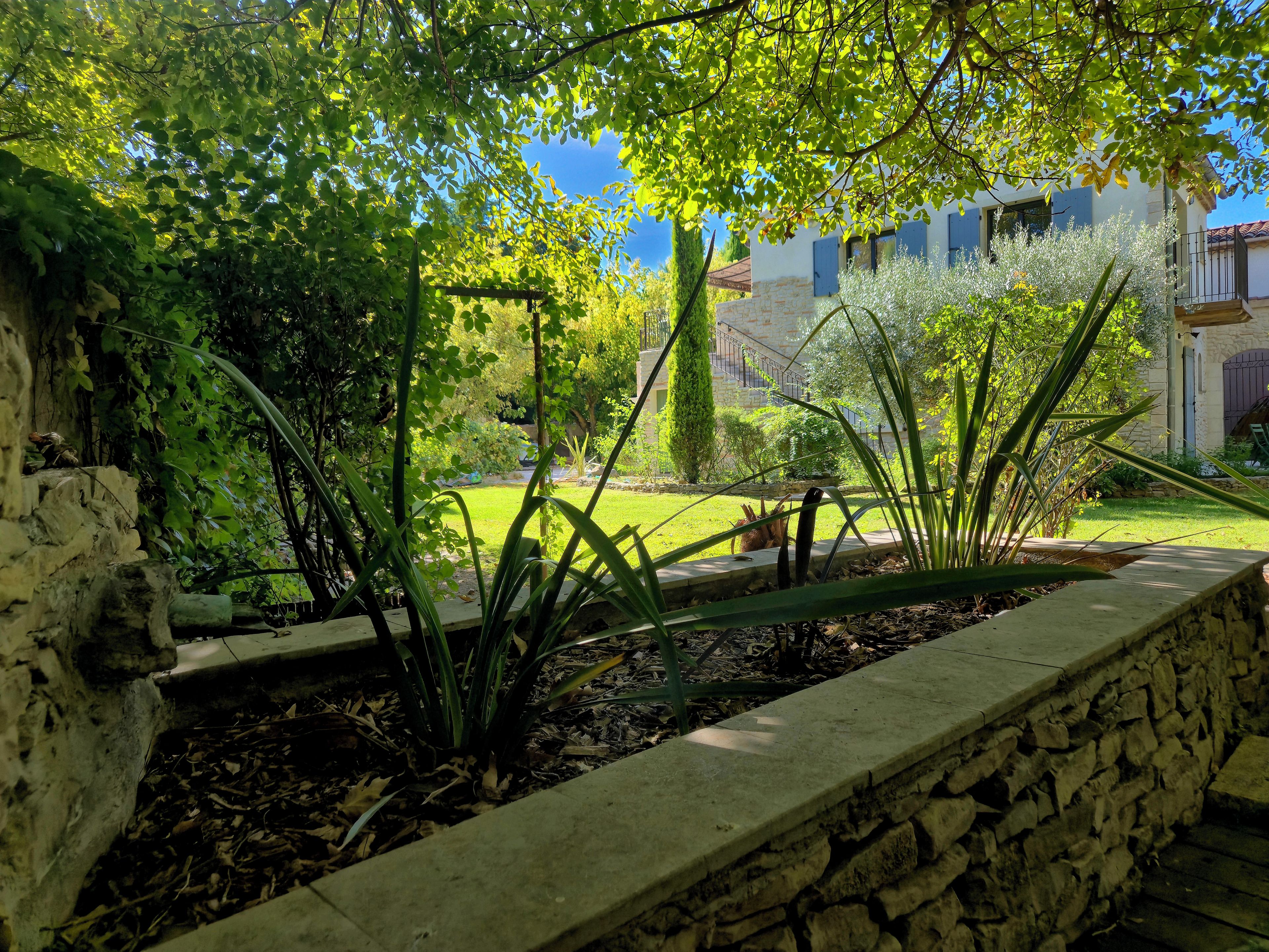 Un jardín con un muro de piedra, diversas plantas y un edificio al fondo.