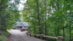 A gravel path leading to a rustic cabin surrounded by dense forest. - Bear Ridge-Private Cabin-Mountain Views-Hot Tub! (Blairsville)