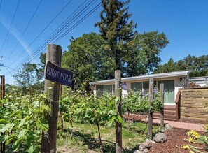 Ein Weinberg mit einem Schild, auf dem 'PINOT NOIR' steht, und ein Gebäude im Hintergrund mit einem Holzzaun.