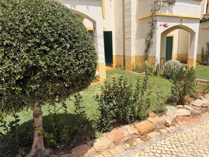 Un patio con seto cuidado, un árbol y un camino pavimentado.