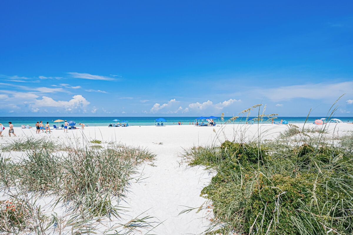 A beach with a clear path leading to the sea, surrounded by sand and vegetation.