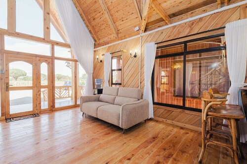 Rustic A-frame cabins blending natural wood,glass and serene outdoor living