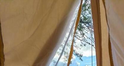 Pura Vida Mountain Glamping