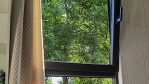 Una ventana con vista a follaje exterior.