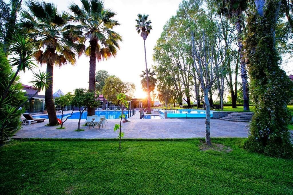 A pool area with palm trees, a clear sky, and a building in the background.