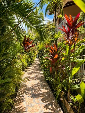 Unclassified image, 5 of 12, button - Fully furnished studio apartment 150 meters from the beach (Les Trois-Îlets)