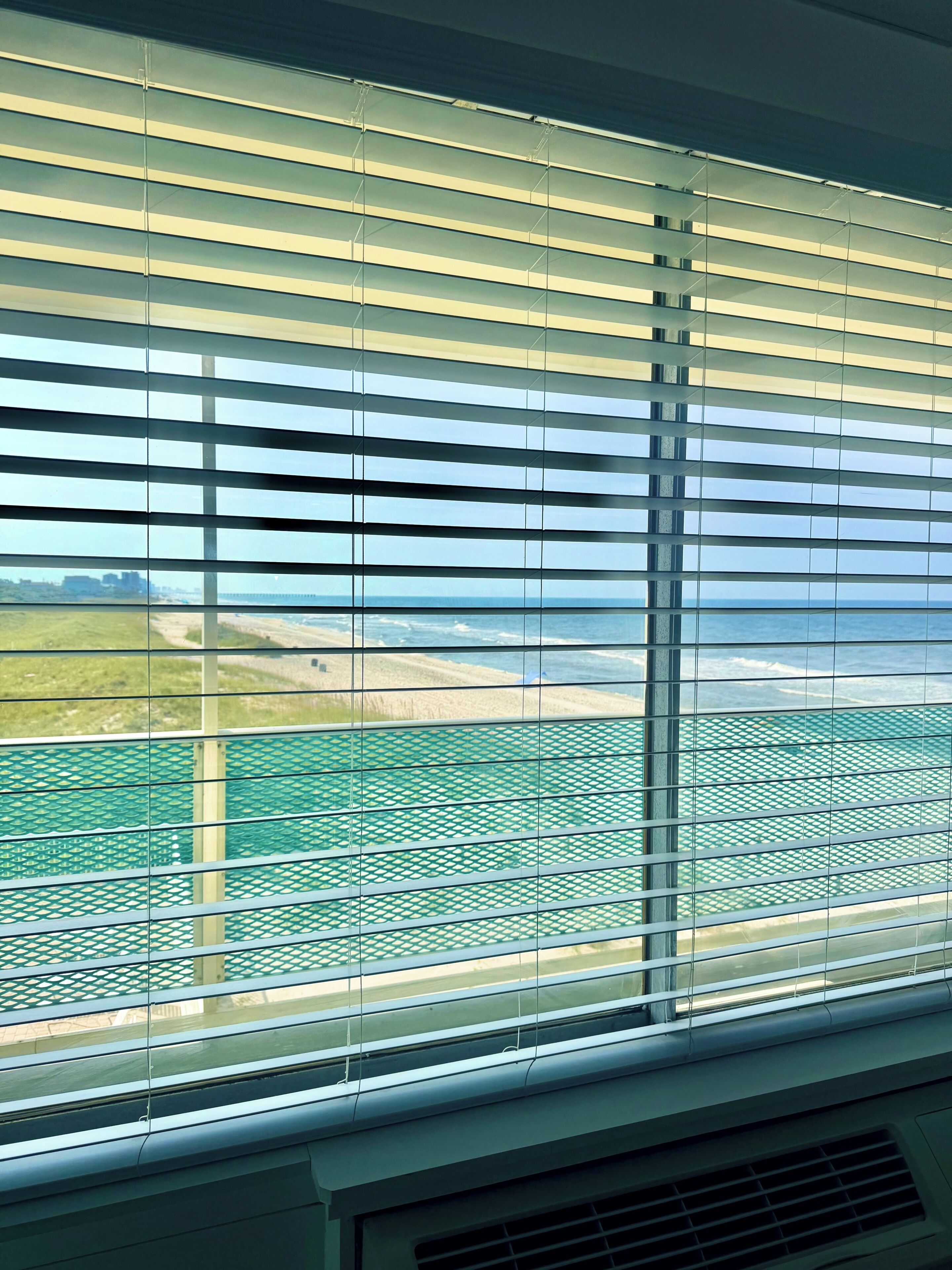 Beach/ocean view