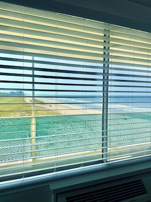 Beach/ocean view - Bid-a-wee Beach Studio Condo (Panama City Beach)