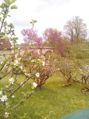 A garden with flowering trees and a stone bridge in the background. - Charming Riverside Gite in the Brenne National Park close to amenities. (Belabre)