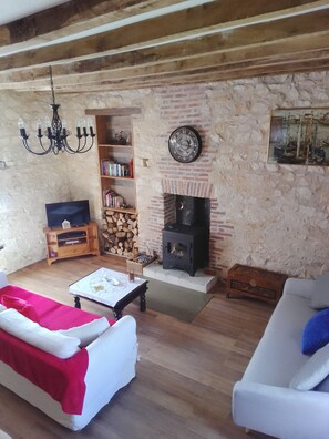 A cozy living room with a fireplace, a television, and a bookshelf. - Charming Riverside Gite in the Brenne National Park close to amenities. (Belabre)