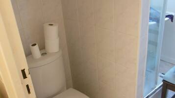 Une salle de bain équipée de toilettes, d’un rouleau de papier toilette et d’une cabine de douche en verre.