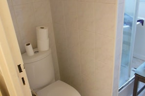 A bathroom with a toilet, a roll of toilet paper, and a glass shower enclosure. - STUDIO APARTMENT IN CENTRAL PARIS (Paris)