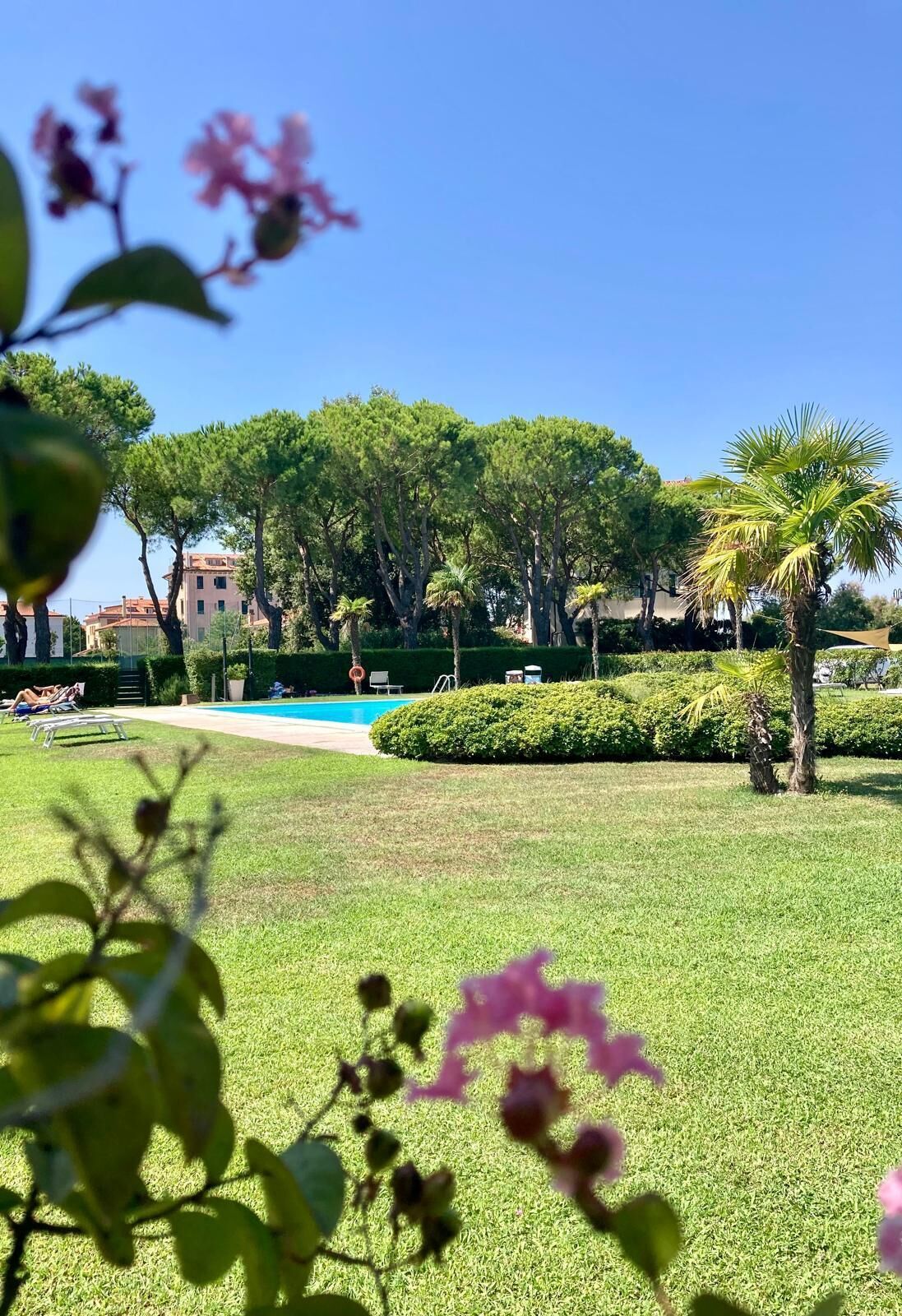 Ein Poolbereich mit blauem Himmel, umgeben von gepflegtem Rasen und Bäumen.