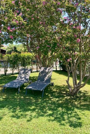 Two lounge chairs in a grassy area with trees and pink flowers in the background. - The Oleander (Venezia)